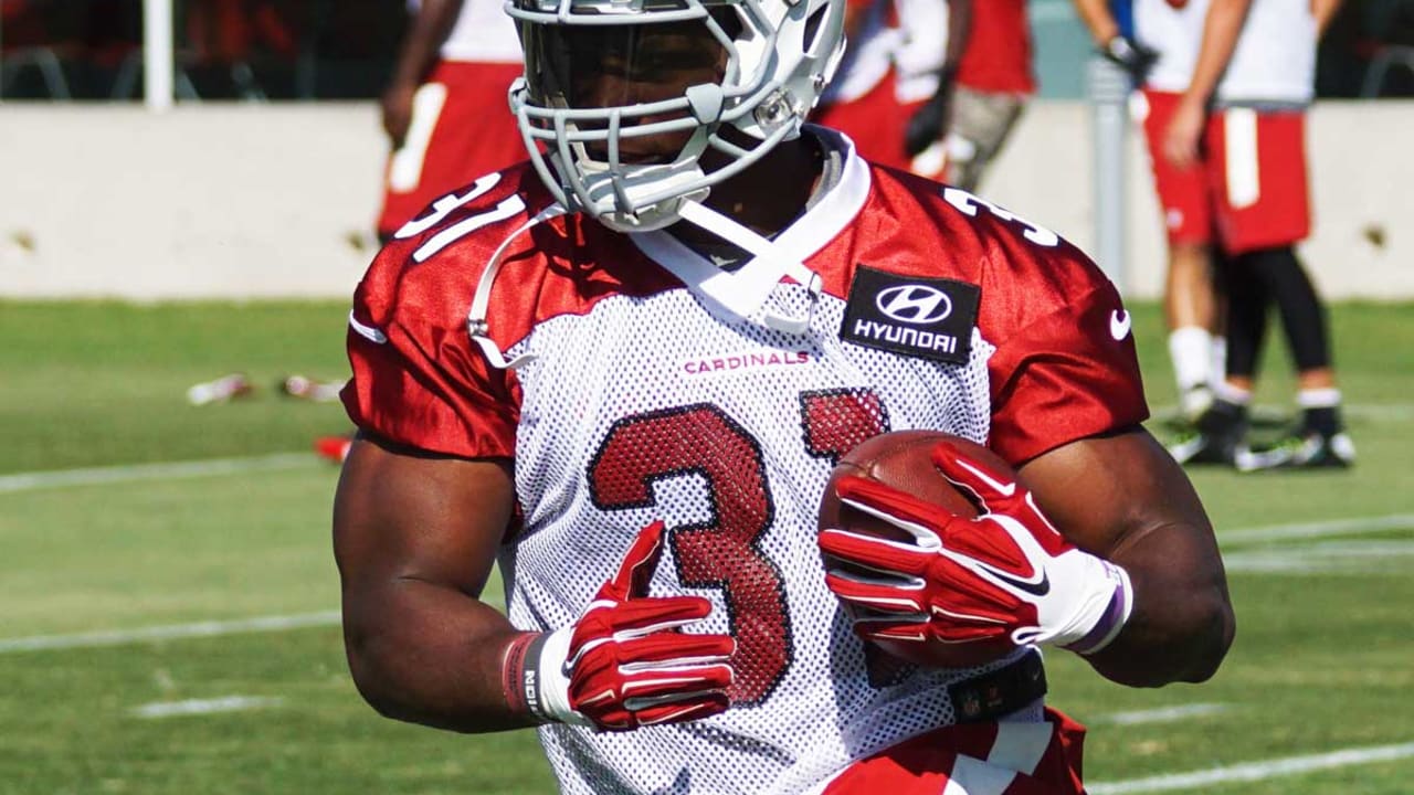 David-Johnson-SL-150602
