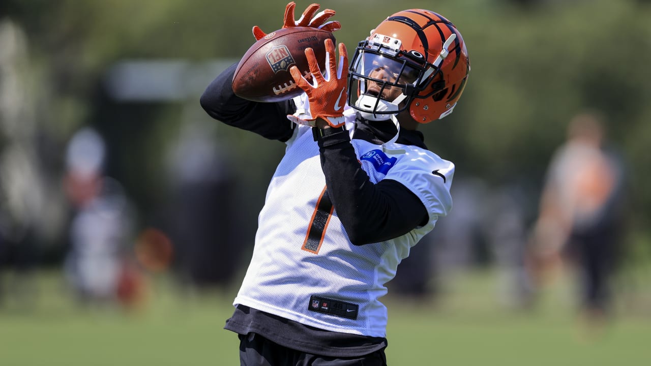 Which rookie wide receivers are most likely to succeed in 2021? 'NFL