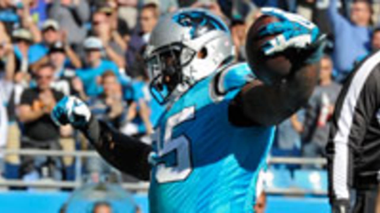 panthers-131103-SL.jpg