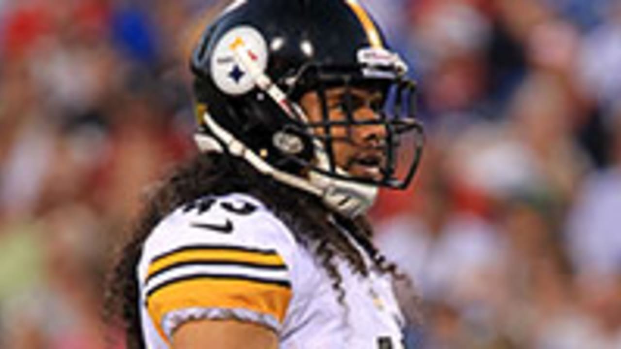 troy-polamalu-121107-SPOT.jpg