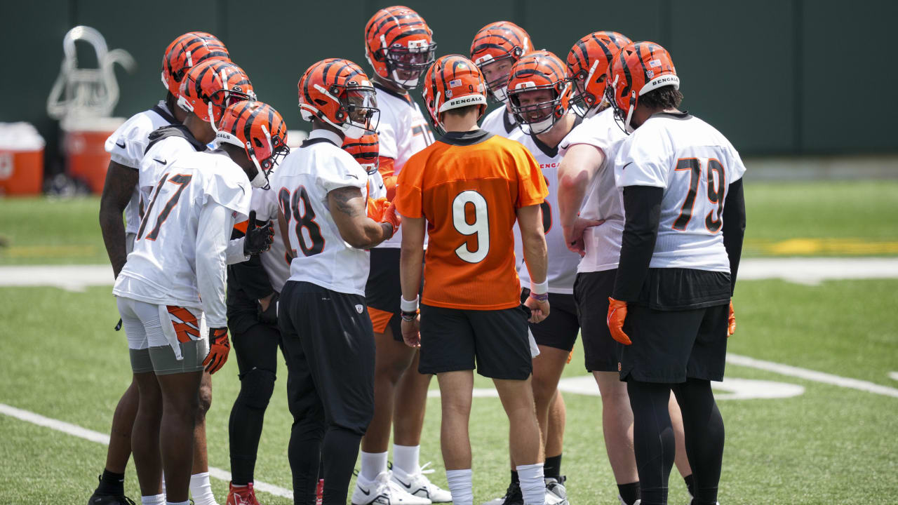 Cincinnati Bengals Primary Dark Uniform - National Football League