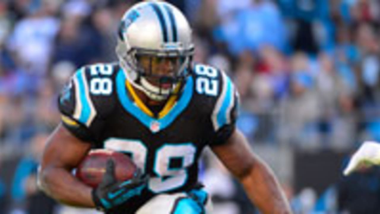 Carolina Panthers running back Jonathan Stewart, left, and full back Mike  Tolbert, right, watch as running back Brand…