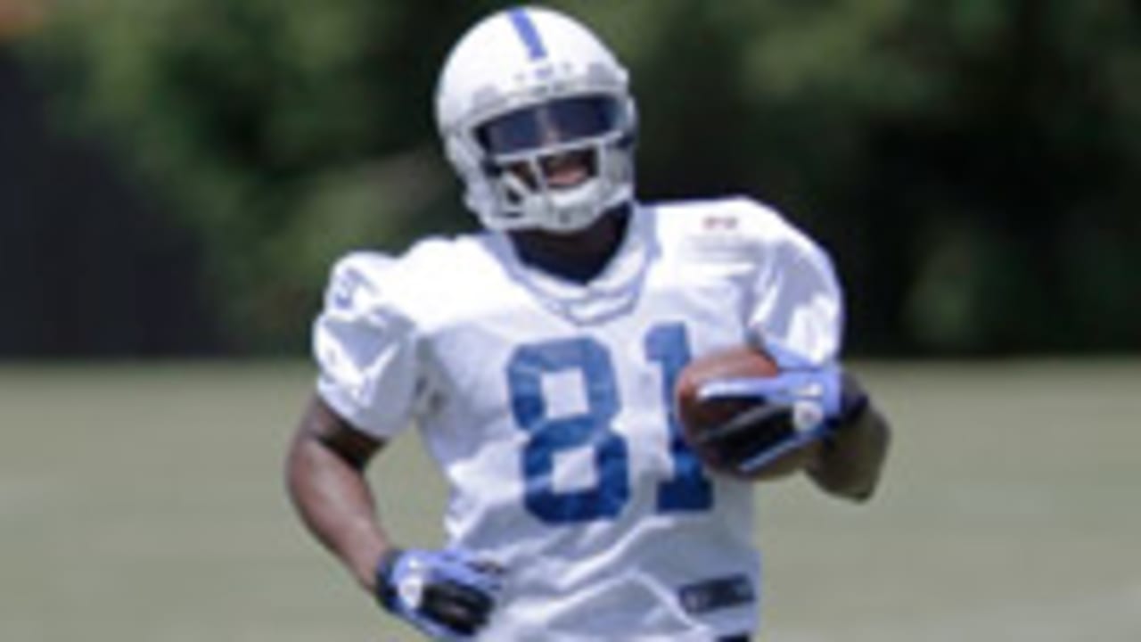 Darrius Heyward-Bey_130804_SL