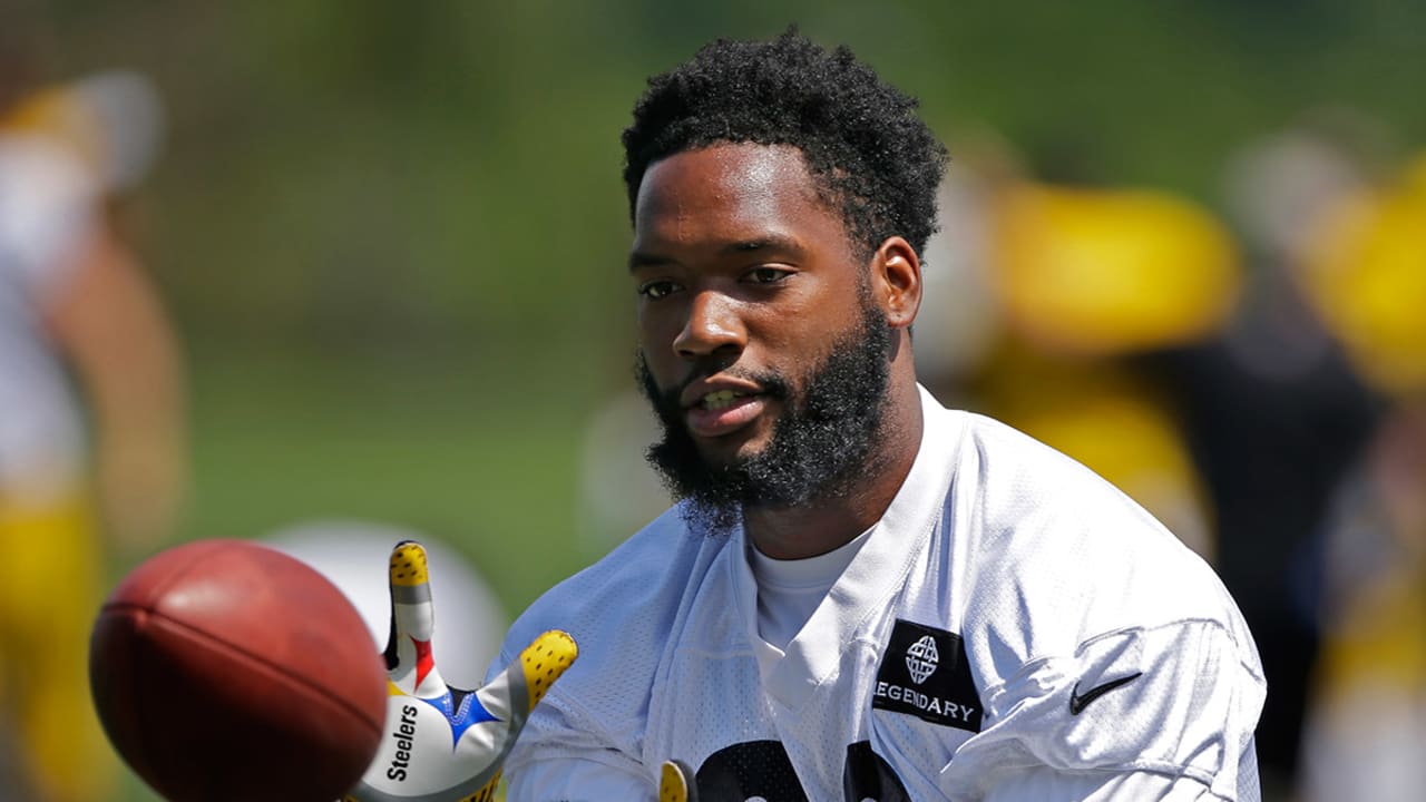 Pittsburgh Steelers TE Ladarius Green Ready to Break Out