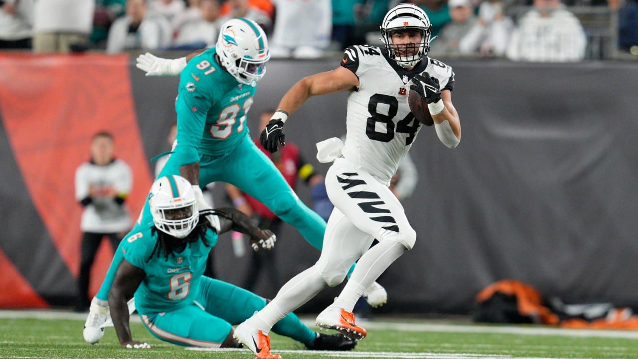 Cincinnati Bengals tight end Mitchell Wilcox (84) runs for the play during  an NFL football game against the Baltimore Ravens, Sunday, Dec. 26, 2021,  in Cincinnati. (AP Photo/Emilee Chinn Stock Photo - Alamy