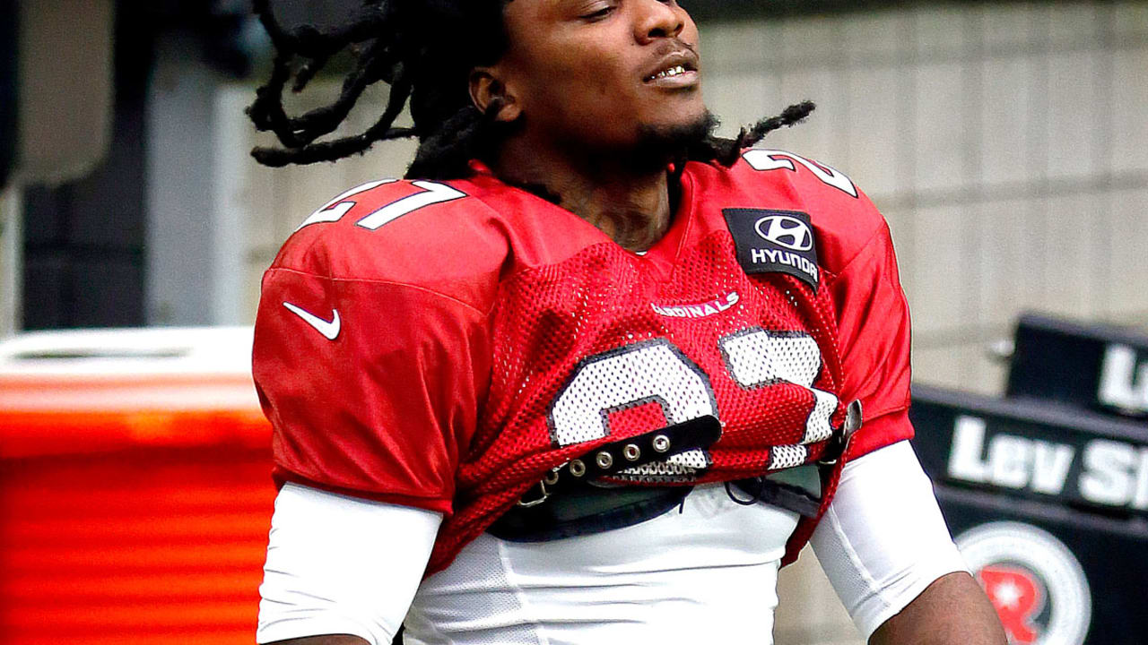 ChrisJohnsonSL_151908.jpg