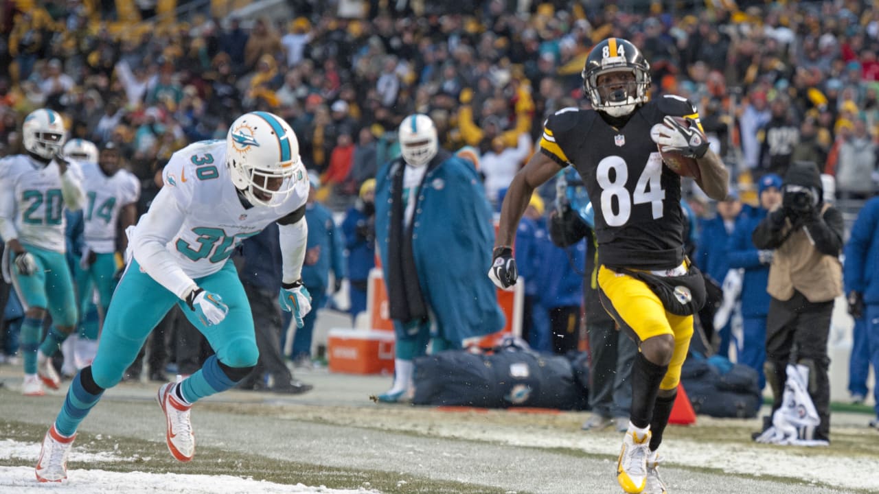 Miami Dolphins outside linebacker Jason Trusnik (93) watches the