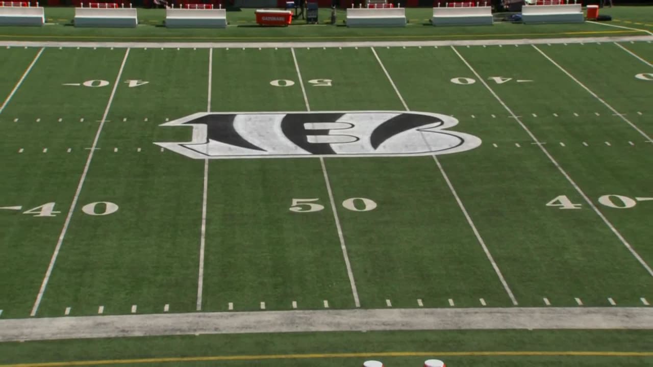 Bengals paint midfield logo & end zones white 