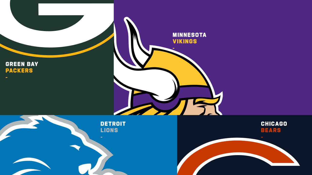 detroit lions nfc north