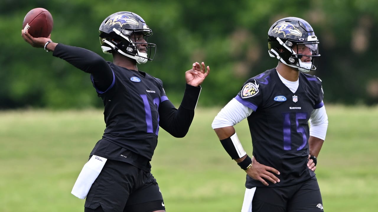 NFL Network Predicts Ravens' Season Will End With a Thud