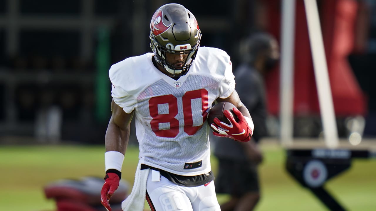 Houston Texans: Tight end O.J. Howard gets another chance