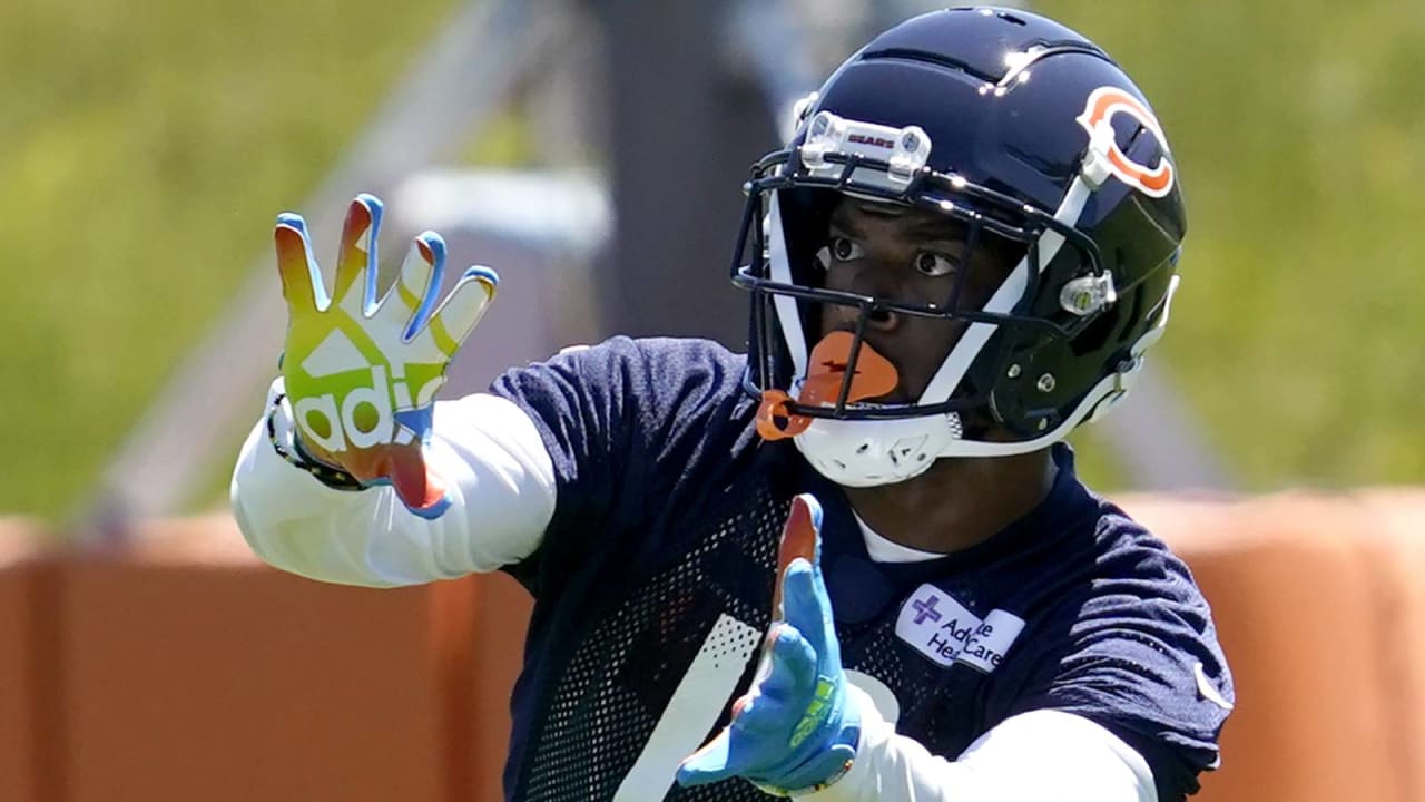 Would Bears WR Allen Robinson play under the franchise tag?