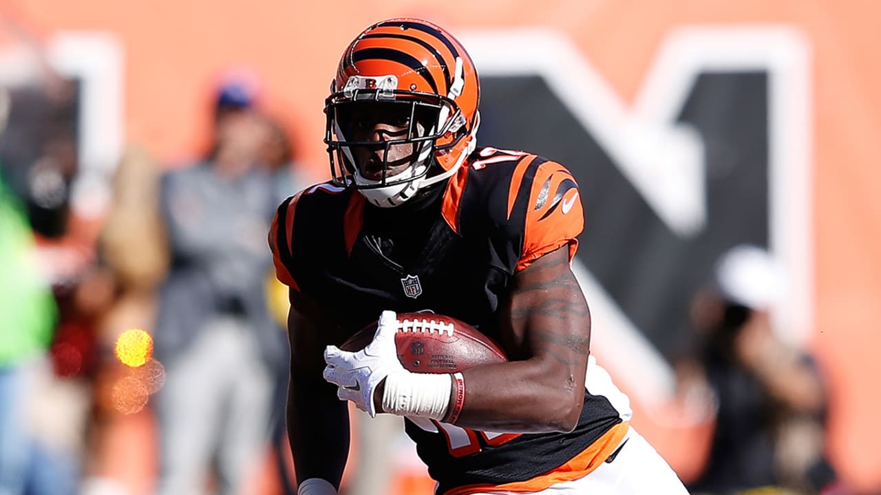 Wide receiver Mohamed Sanu agrees to one-year deal with 49ers