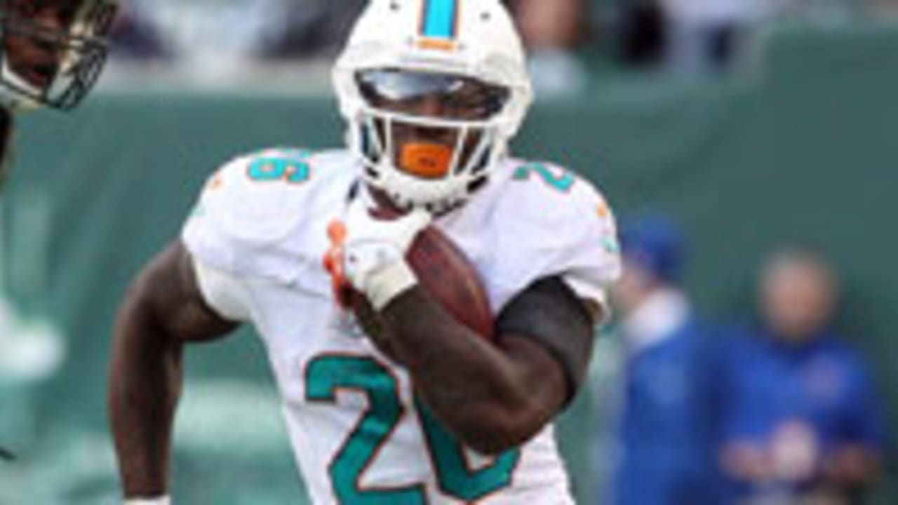 lamar-miller-021014-spot.jpg