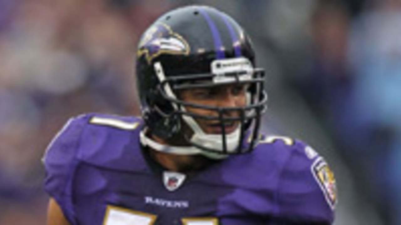 brendon-ayanbadejo-120911-SPOT.jpg