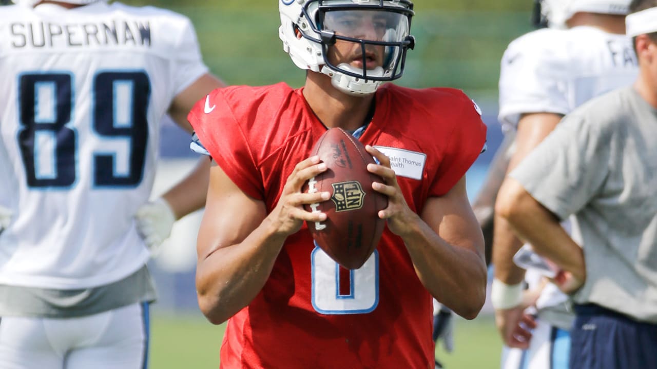 Titans Marcus Mariota, Taylor Lewan, Delanie Walker in Pro Bowl?