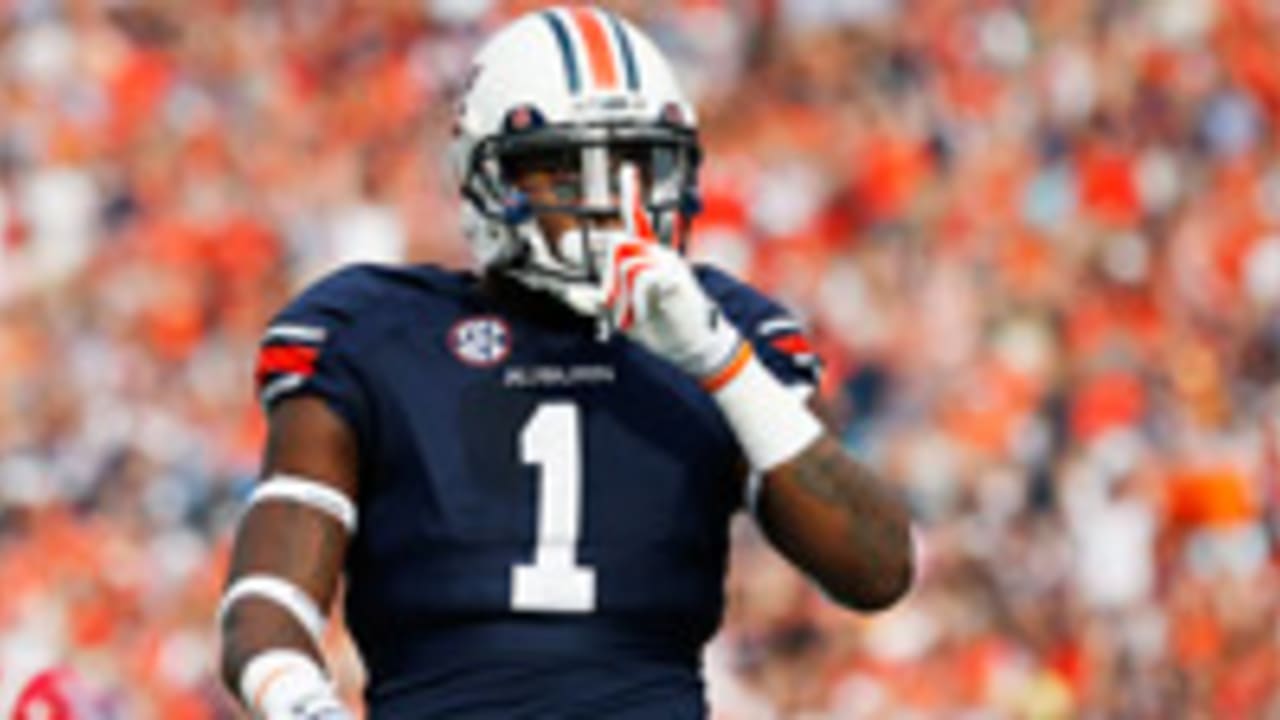 D'haquille Williams-141204-Spot.jpg