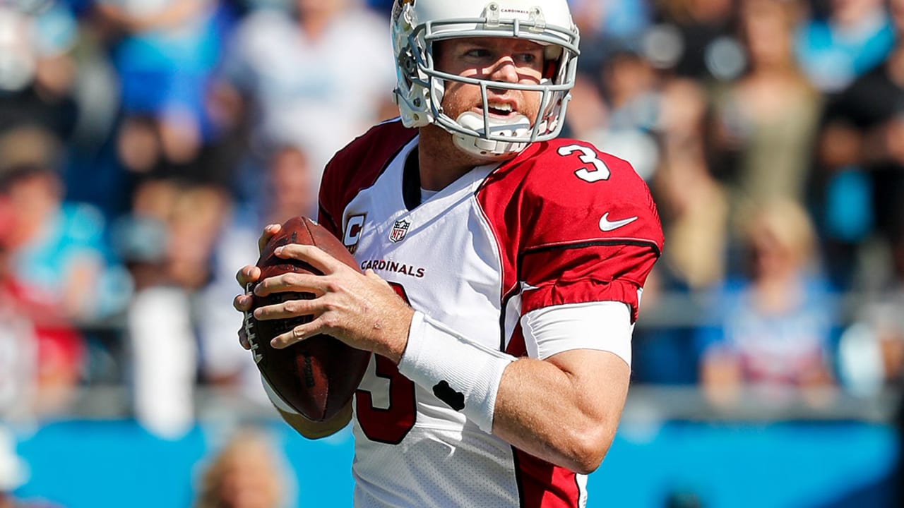 palmer-161109-sl.jpg