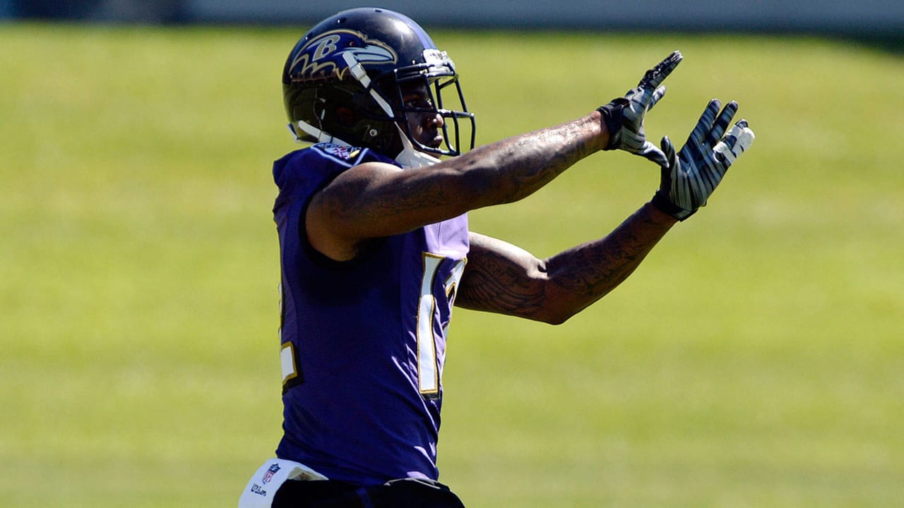 Around The AFC North: Steelers Wide Receiver Mike Wallace Still A