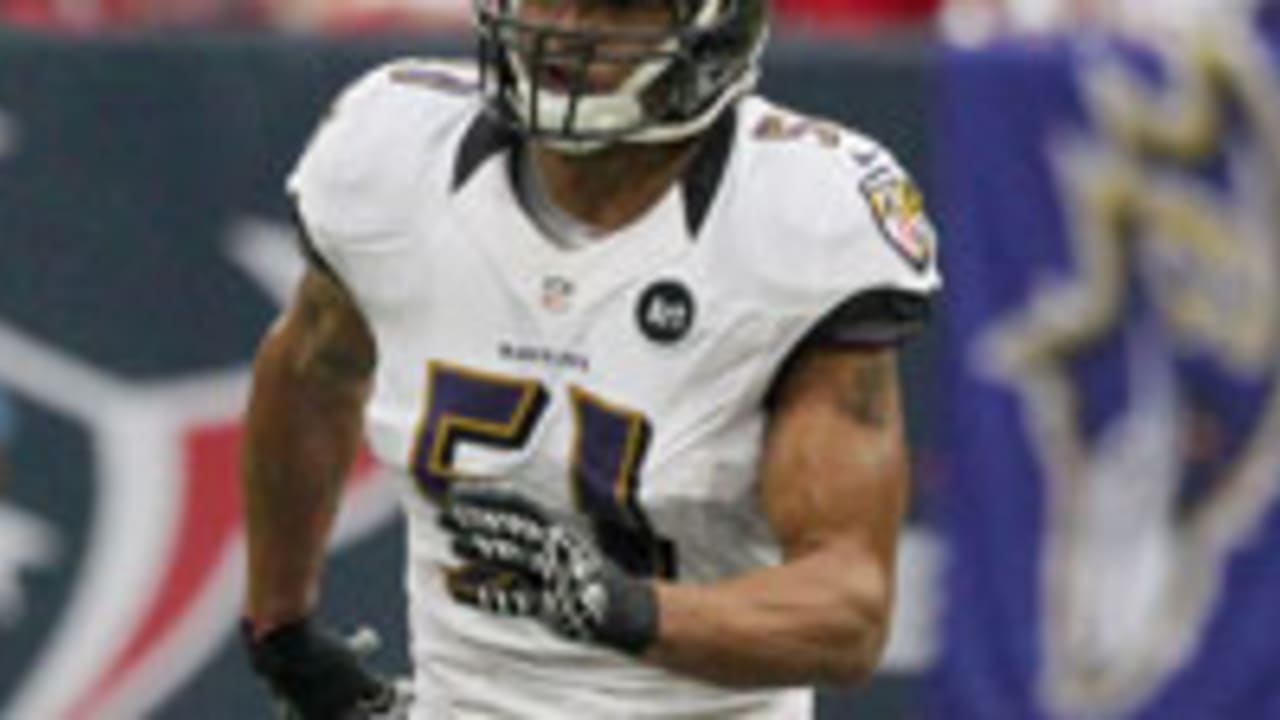 brendon-ayanbadejo-130228-spot.jpg