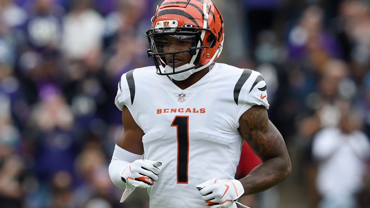 NFL Network's David Carr: Cincinnati Bengals are still contenders ...