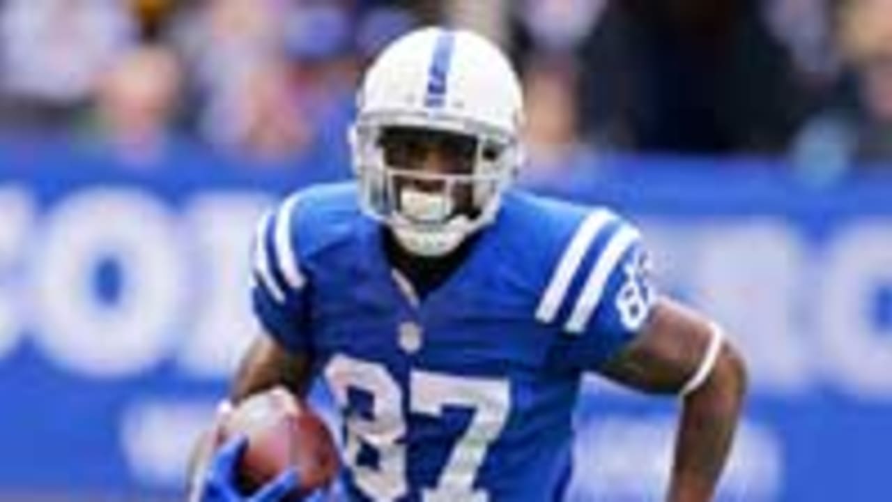 NFL-Reggie-Wayne-SL-141114