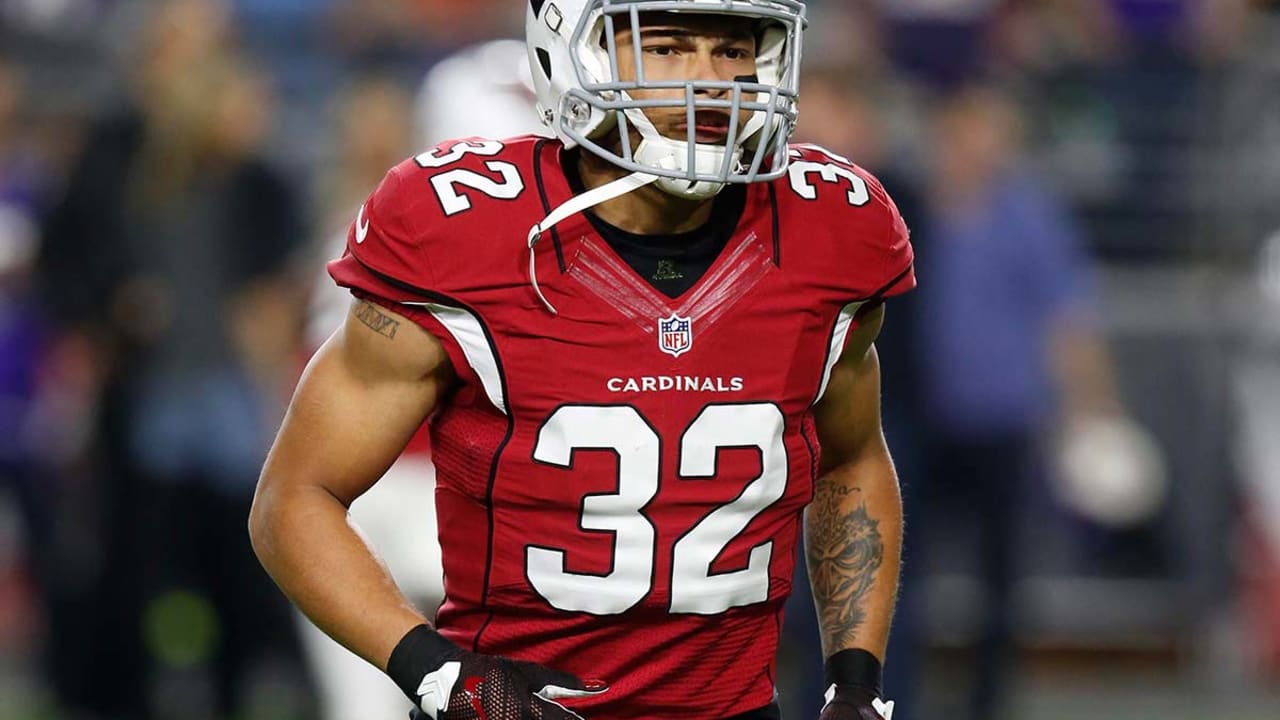 Tyrann-Mathieu-160627-SL.jpg