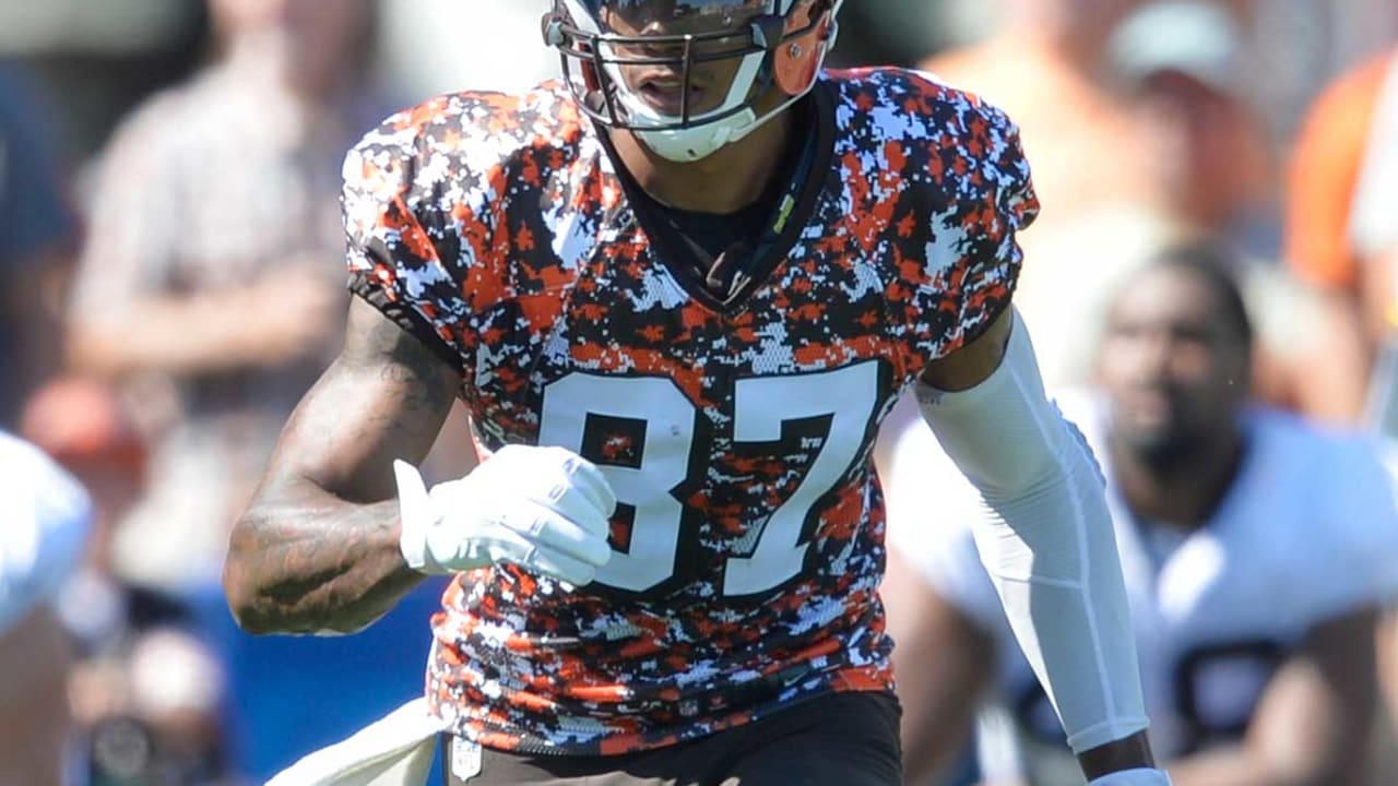 Terrelle-Pryor-sl-081515.jpg