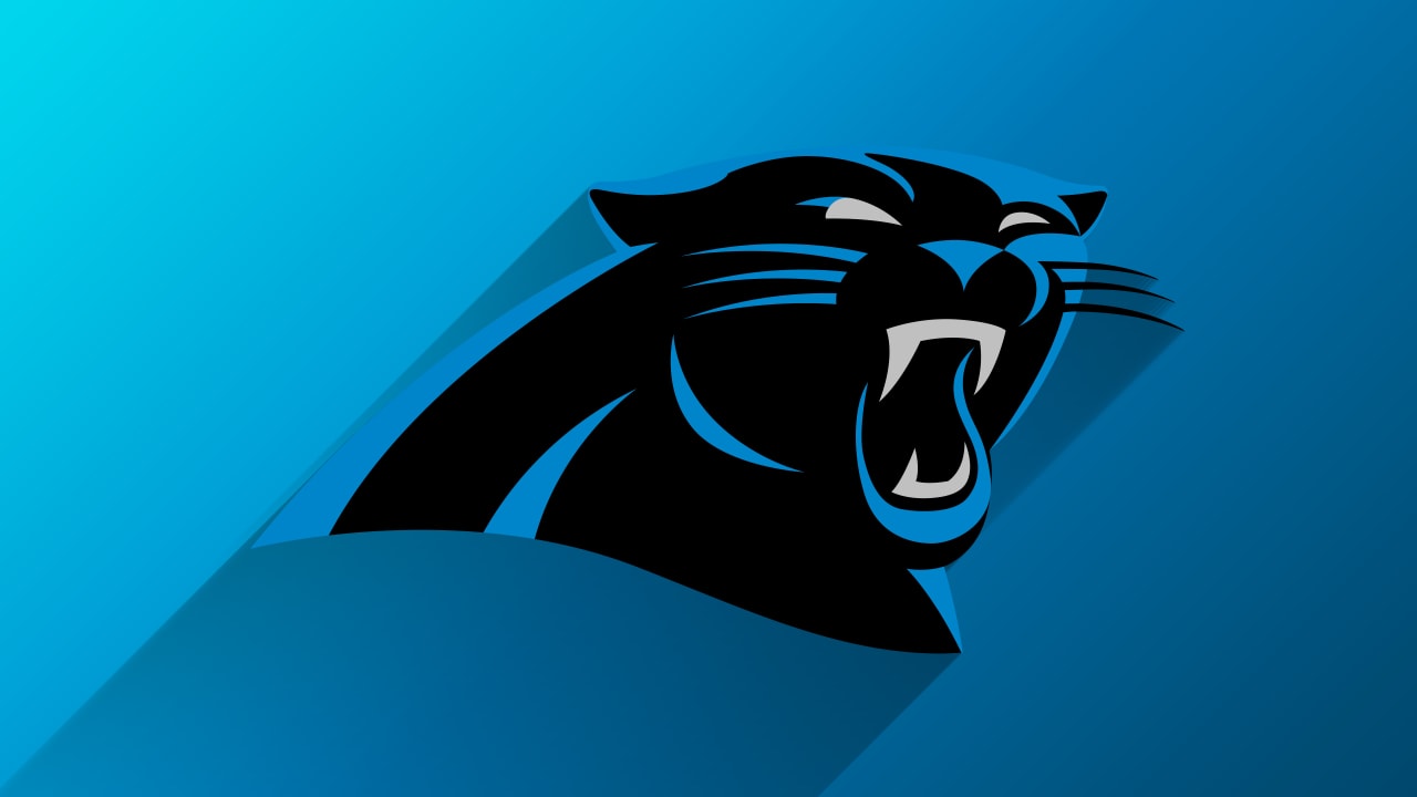 Carolina Panthers  Carolina panthers, Nfl logo, Panthers