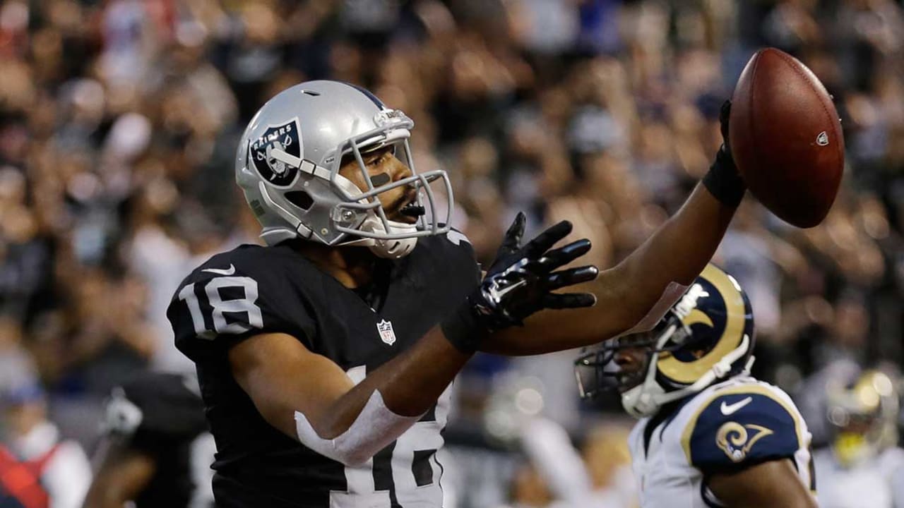 Oakland Raiders wide receiver Andre Holmes (18) during an NFL