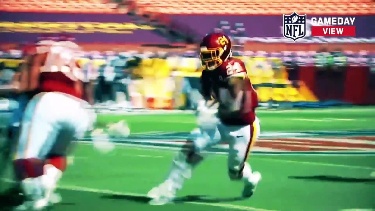 'NFL GameDay View' Week 17 Picks