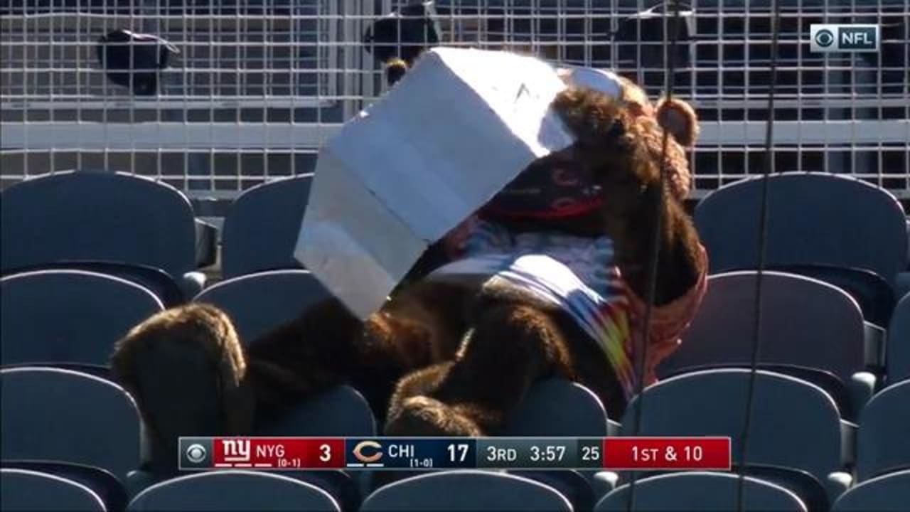 Chicago Bears mascot Staley Da Bear catches some rays at Soldier Field