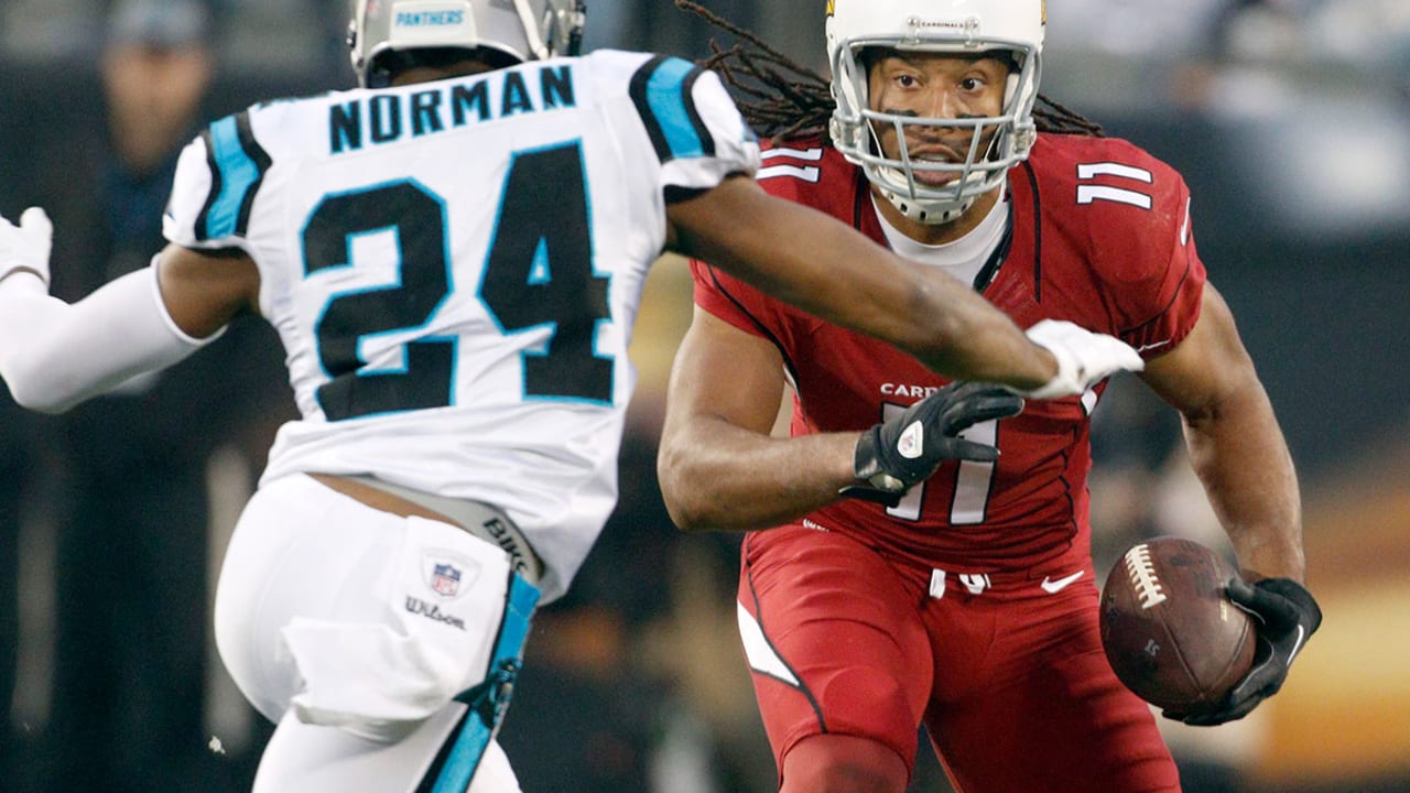 Newton, defense lead Panthers past Cardinals 27-16