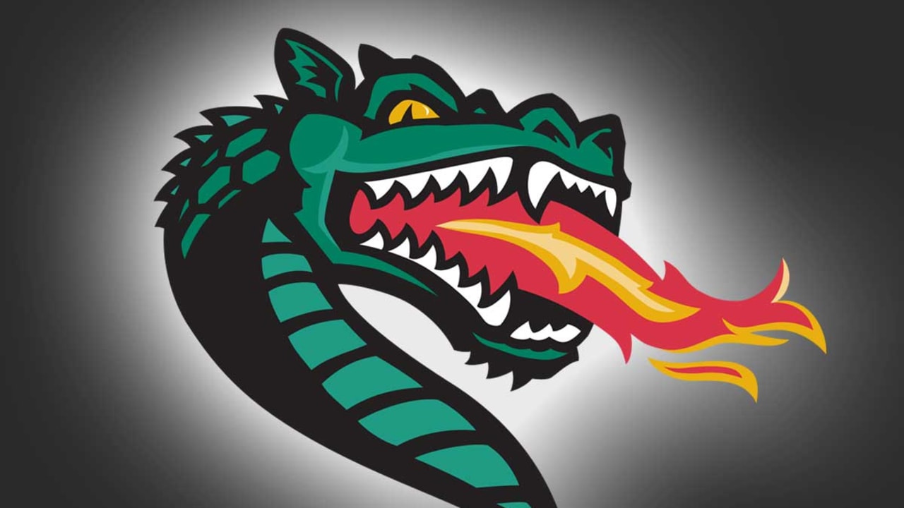 University-of-Alabama-Birmingham-logo-SL-150601
