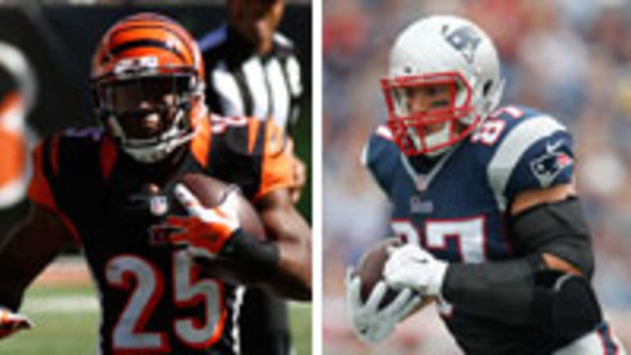 Bernard-Gronk-141003-SL.jpg