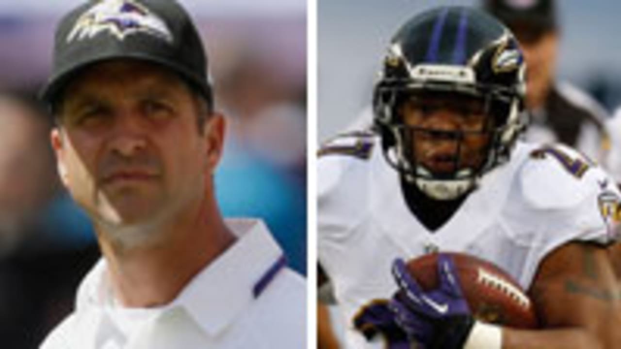 Harbaugh-Rice-140221-Spot.jpg