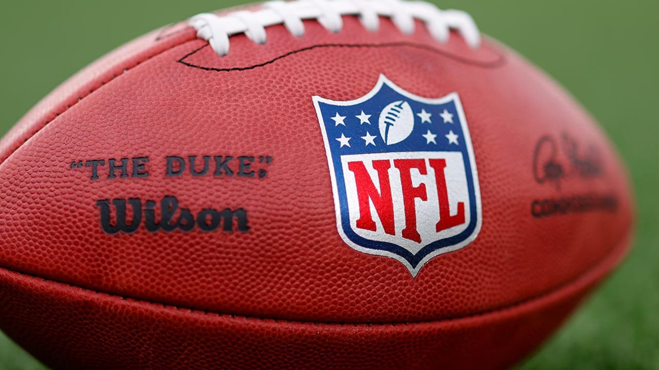 Wilson The Duke NFL Football - Salute to Service