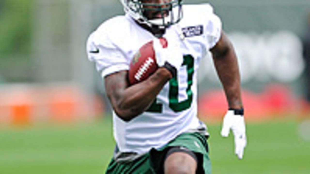 Santonio-Holmes-120730-Spot.jpg