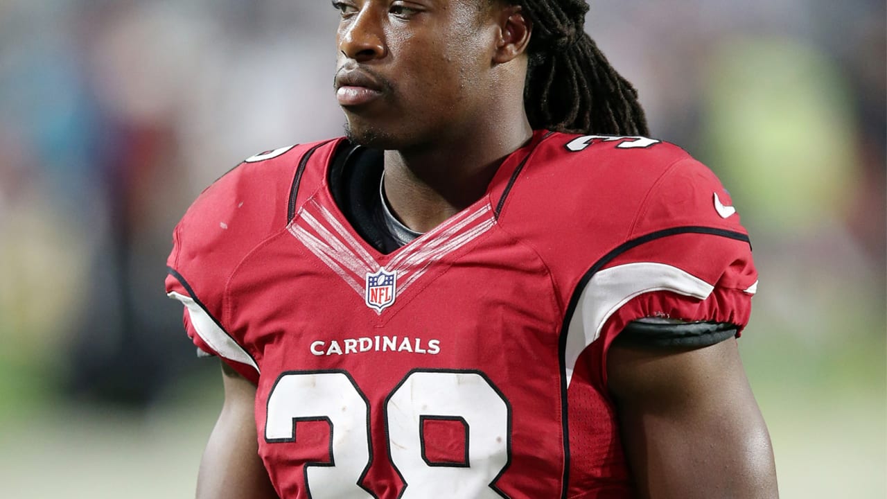 Arizona Cardinals running back Andre Ellington (38) is helped off