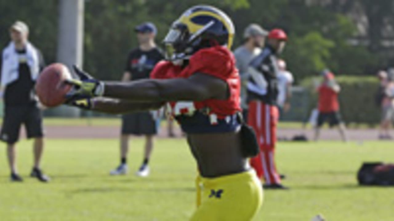 Devin Gardner-150116-Spot.jpg