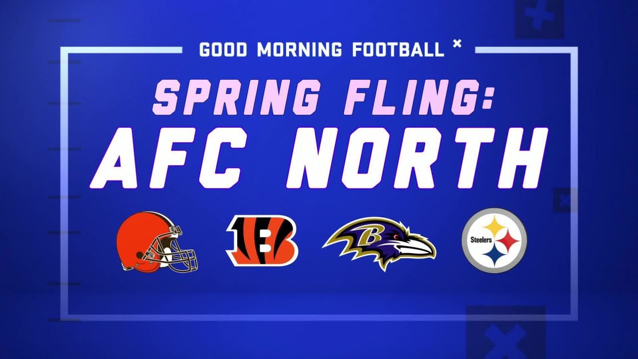 nfl afc north