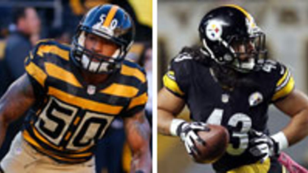 Shazier-Polamalu-141111-SL.jpg