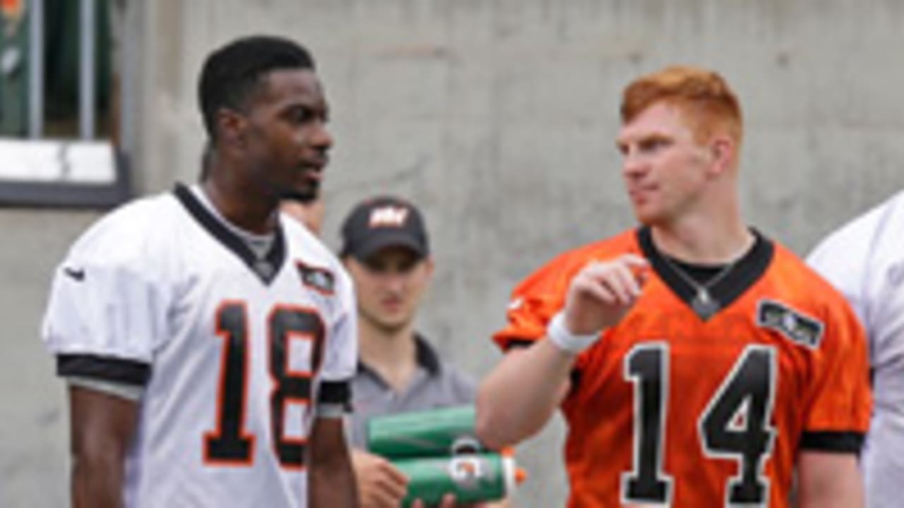 Dalton-green-140710-SL.jpg