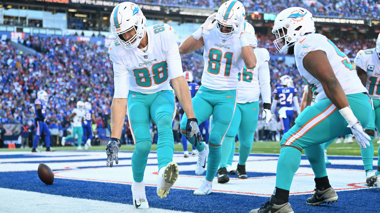 Mike Gesicki of the Miami Dolphins celebrates a catch against the News  Photo - Getty Images