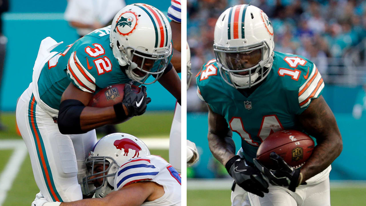 dolphins-171231-SL.jpg