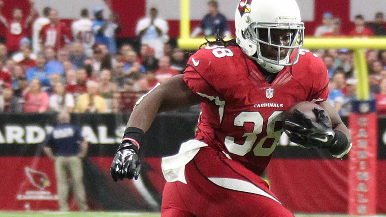 Tampa Bay Buccaneers add former Arizona Cardinals RB Andre Ellington 