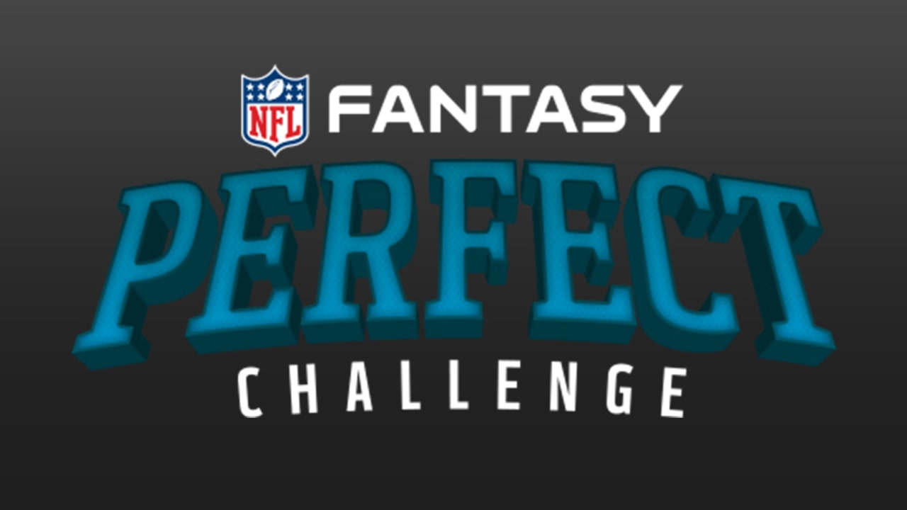 perfect-challenge-160907-spot.jpg