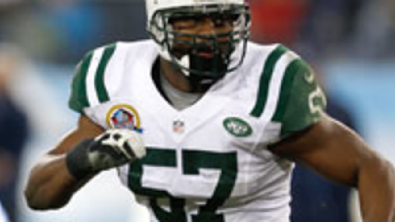 Bart Scott-130219-Spot.jpg