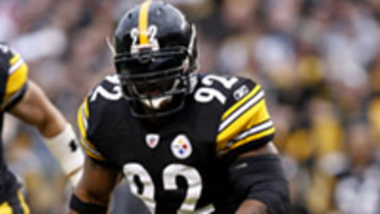 james-harrison-020713-spot.jpg