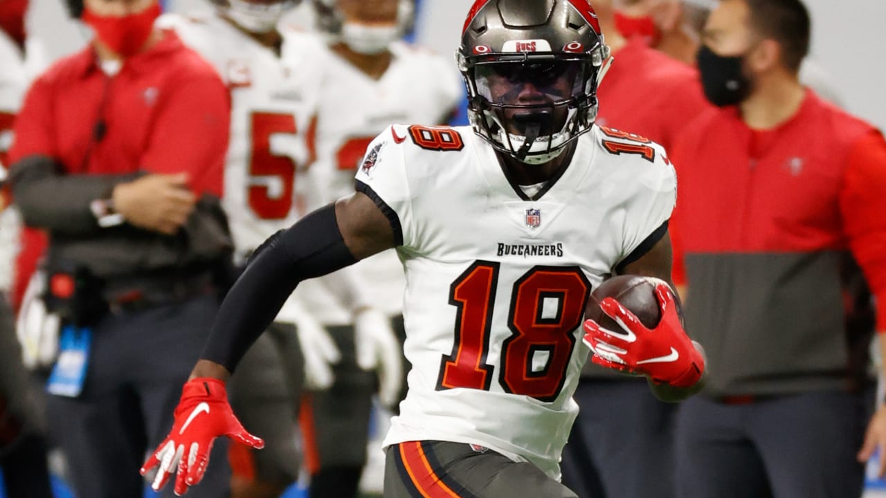 Tampa Bay Buccaneers wide receiver Tyler Johnson ties season-long with ...